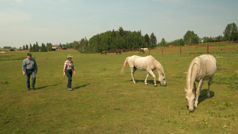 Field and stream: Linda Humphreys loves horses and fishing