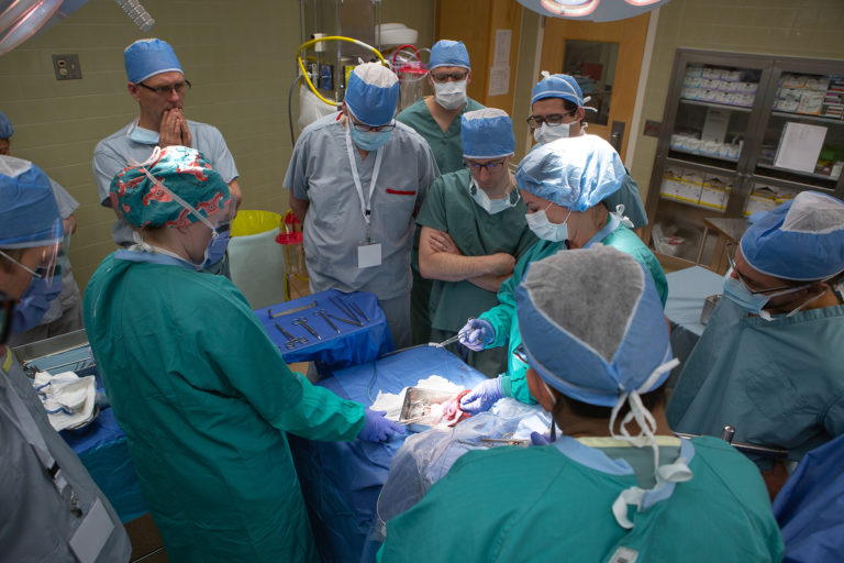 Brooks hosts life-saving Emergency Hysterectomy Course for rural health professionals