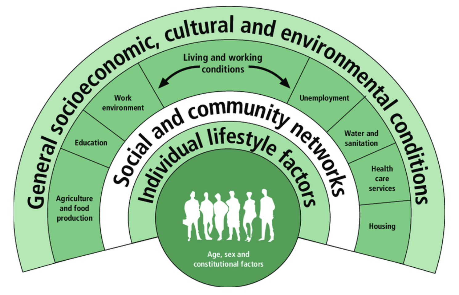 Social Determinants of Health - Rural Health Professions Action Plan