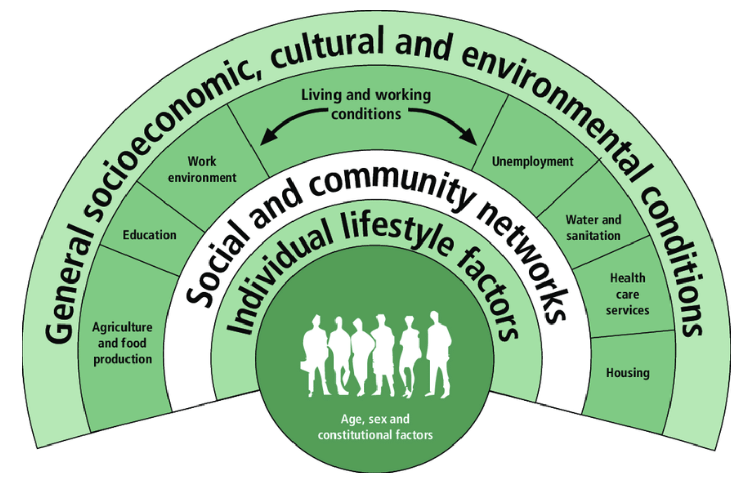 Social Determinants Of Health - Rural Health Professions Action Plan