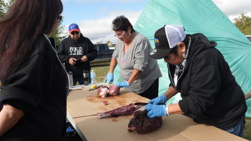 Caribou is being prepared at a gathering hosted by Athabasca Chipewyan First Nation.  The Skills Day was held at the same time as the gathering.