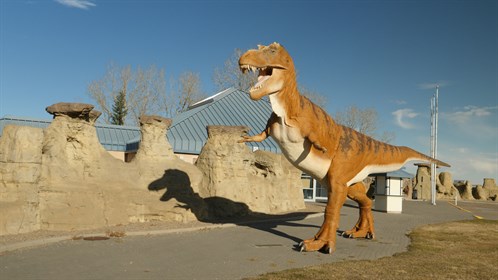 A large Tyrannosaurus Rex stands outside the Travel Alberta Milk River Visitor Information Centre