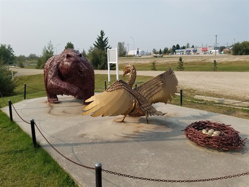 This Swan Hills sculpture of a mother swan protecting her nest of five eggs from a grizzly bear has been rated one of the top 50 roadside attractions in Canada..