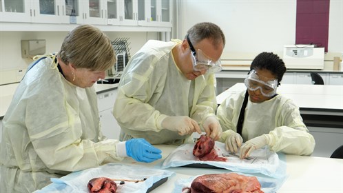 Dr. Chris Nichol, centre, assists a student at his skill station that introduced students to hearts and included hands on training on both pig and cow hearts.