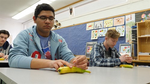 Cesar Musayon, from Irma, practises acupuncture on a banana.