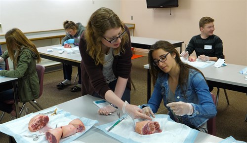 Dr Kate Overbo, who grew up in Kinsella, teaches suturing.