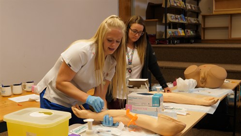 Jenn Sych, an RN who lives in Irma, taught IV Starts and Catheter