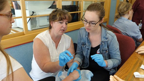 Nicola Girardi, RN, shows a student how to hold the needle when doing an IV Start.